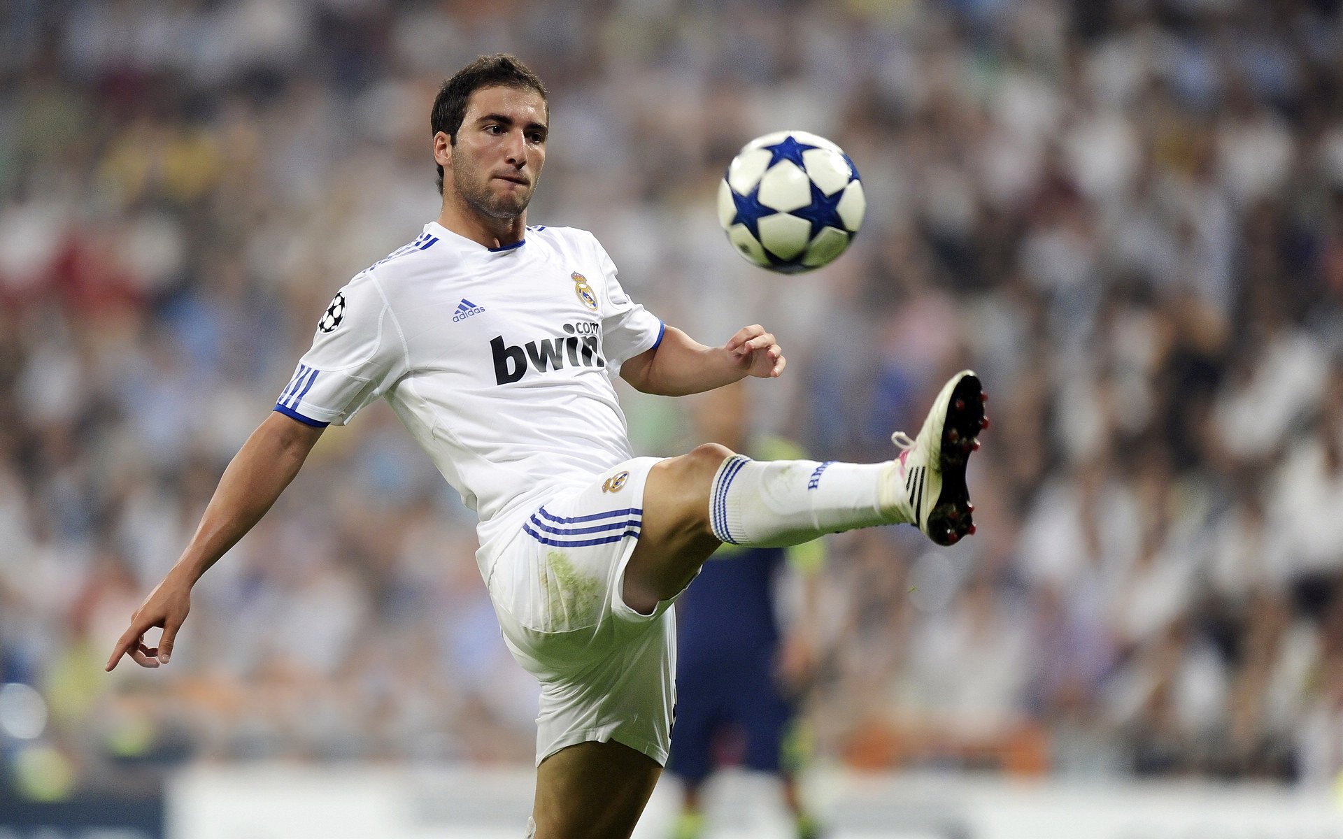 帕尔梅拉斯签下前锋保利尼奥,增强锋线实力,帕尔梅拉圣保罗